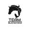 Logo for Team Blendheim